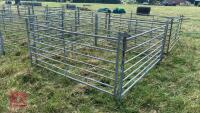 4 X 6’ SHEEP HURDLES - 2