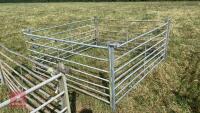 4 X 6’ SHEEP HURDLES - 4