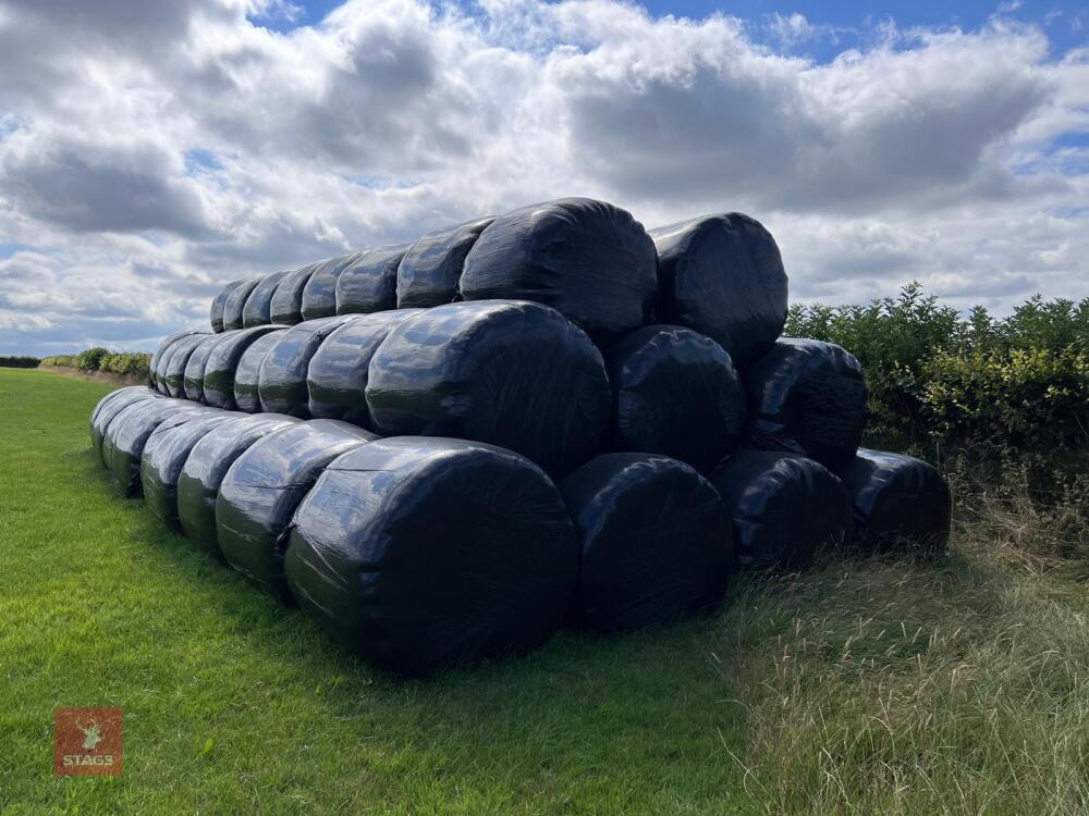 86-round-bales-of-silage-bids-per-bale