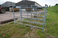 GALVANISED CATTLE STATION - 2