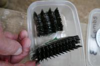 8 SHEARING COMBS & 14 SHEARING CUTTERS - 4