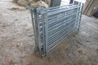 10 6' GALVANISED SHEEP HURDLES - 5