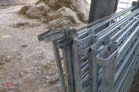 10 6' GALVANISED SHEEP HURDLES - 6