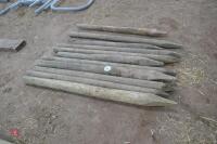 11 MIXED WOODEN FENCE STAKES - 2