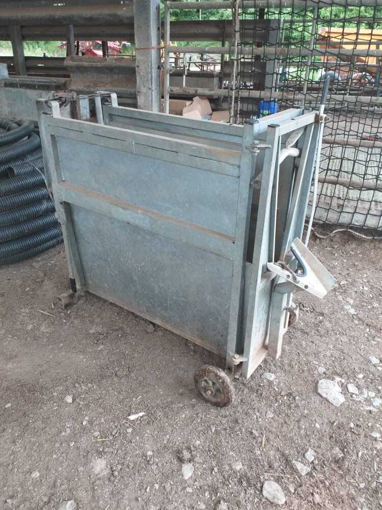 CALF DEHORNING CRATE