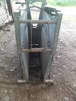 CALF DEHORNING CRATE - 2