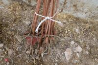 14 METAL ELECTRIC FENCE STAKES - 4