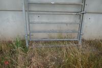 GALVANISED CATTLE RACE GATE - 3