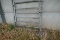 GALVANISED CATTLE RACE GATE - 5