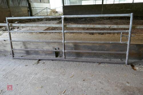 10' GALVANISED YARD GATE