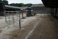 60FT CATTLE HANDLING SYSTEM - 7