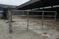 60FT CATTLE HANDLING SYSTEM - 9