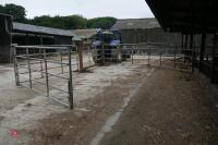 60FT CATTLE HANDLING SYSTEM - 13