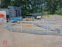 SHEEP HANDLING SYSTEM