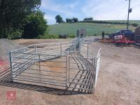 SHEEP HANDLING SYSTEM - 5