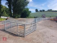 SHEEP HANDLING SYSTEM - 6